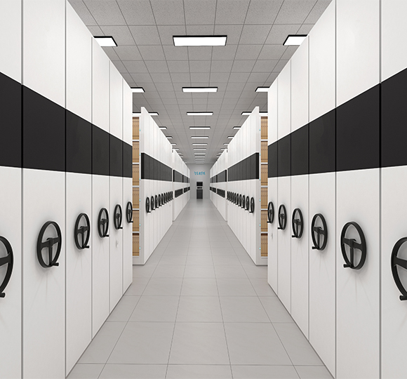 專業(yè)鐵皮檔案柜供應(yīng)商